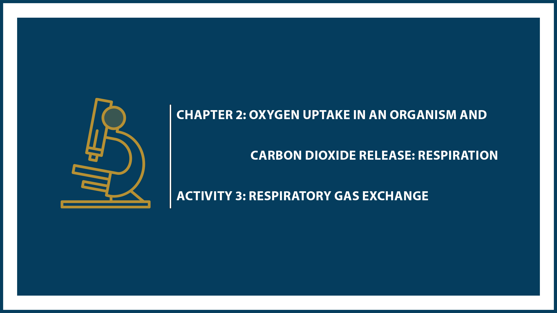 Chapter 2: Respiration (Activity 3: Respiratory Gas Exchange)